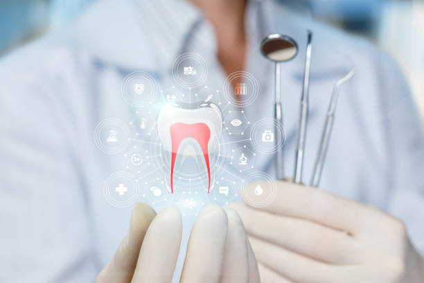  New Baden, IL Holistic Dental Services Pros